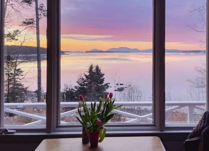 Location de vacances pour 4 personnes, avec jardin et vue sur l’océan, animaux acceptés dans États-Unis - 4