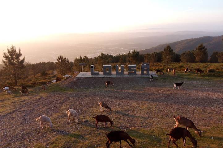 Location de vacances pour 5 personnes, avec jardin à Lousã