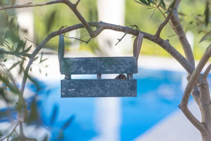 Villa mit pool für 10 Personen, mit Sauna auf Hvar - 4