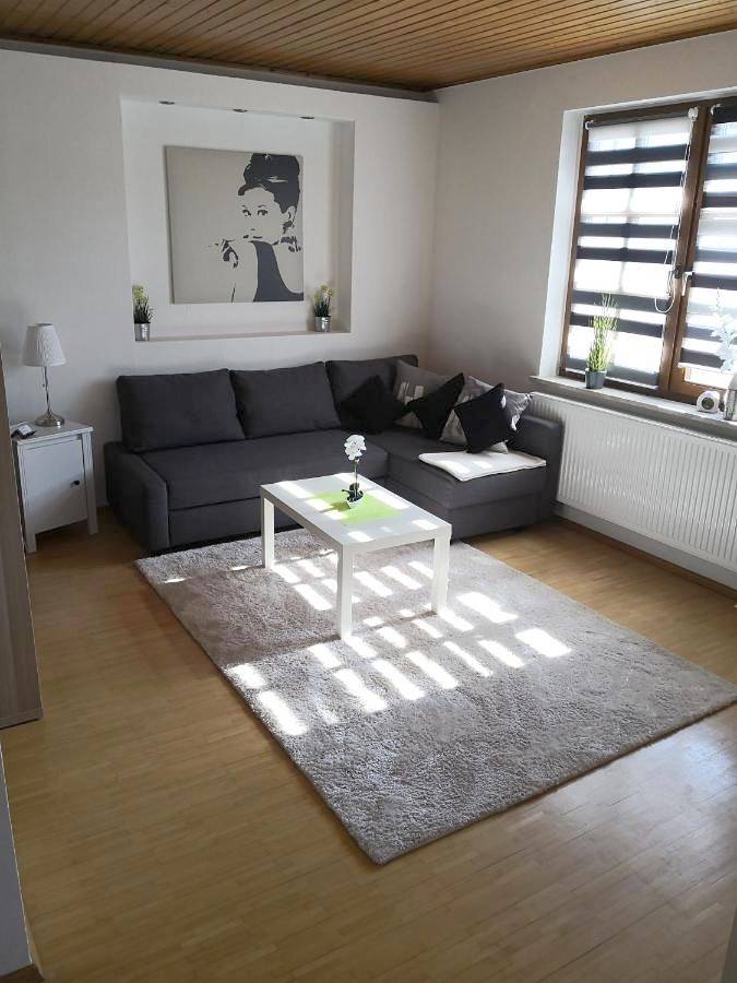 Ganze Wohnung, Apartment Ferienwohnung Emmerthal auch für Monteure Fewo in Emmerthal, Weserbergland