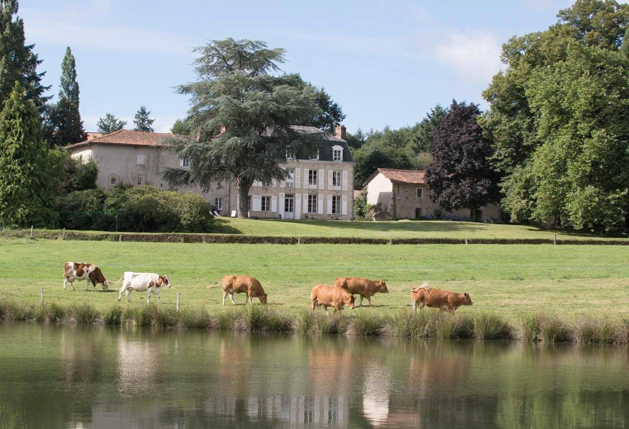 Chambre d’hôte pour 2 personnes avec vue in Royères, Région de Limoges