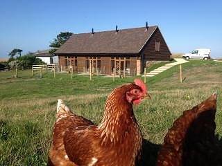 Poachers Hut 1-Bed Cottage, Sleeps 2, Pet Friendly in Shorwell, Isle of Wight