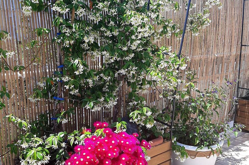 Stay with Comfort Double room with en suite bathroom and balcony. in Pescara, Adriatic Coast Abruzzo