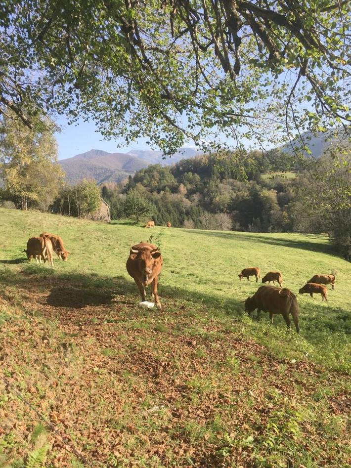 Location de vacances pour 12 personnes, avec vue et jardin à Boussenac - 4