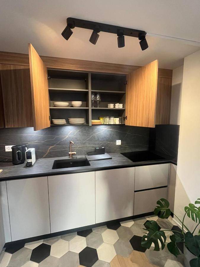 Gîte pour 5 personnes, avec jardin ainsi que vue et vue sur le lac, animaux acceptés à Pully - 4