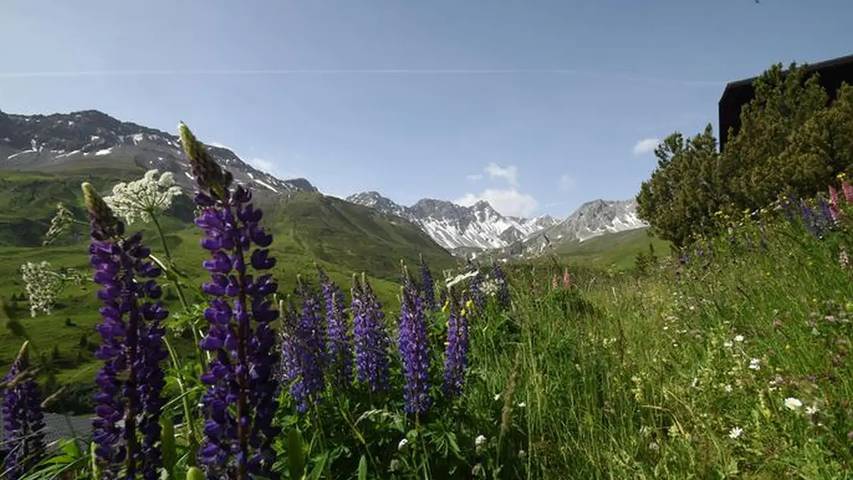 Ferienwohnung für 4 Personen, mit Garten und Terrasse in Arosa - 2