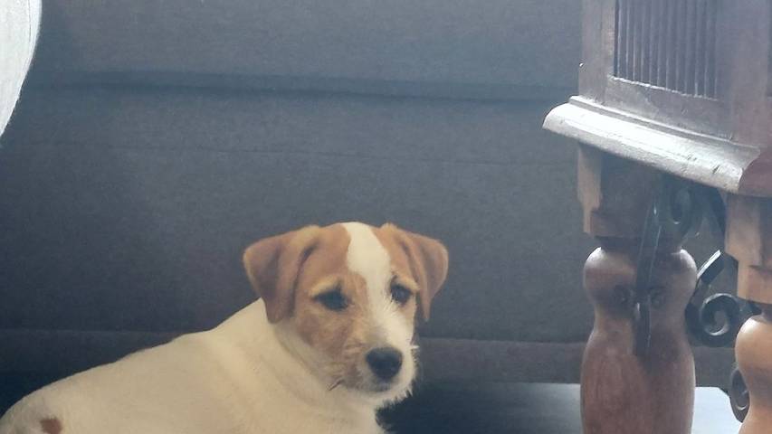 Ferienwohnung für 4 Personen, mit Balkon in Langelsheim - 4