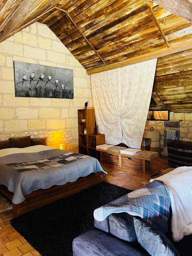 Double Room with Garden View in Allonnes, Vallée de la Loire