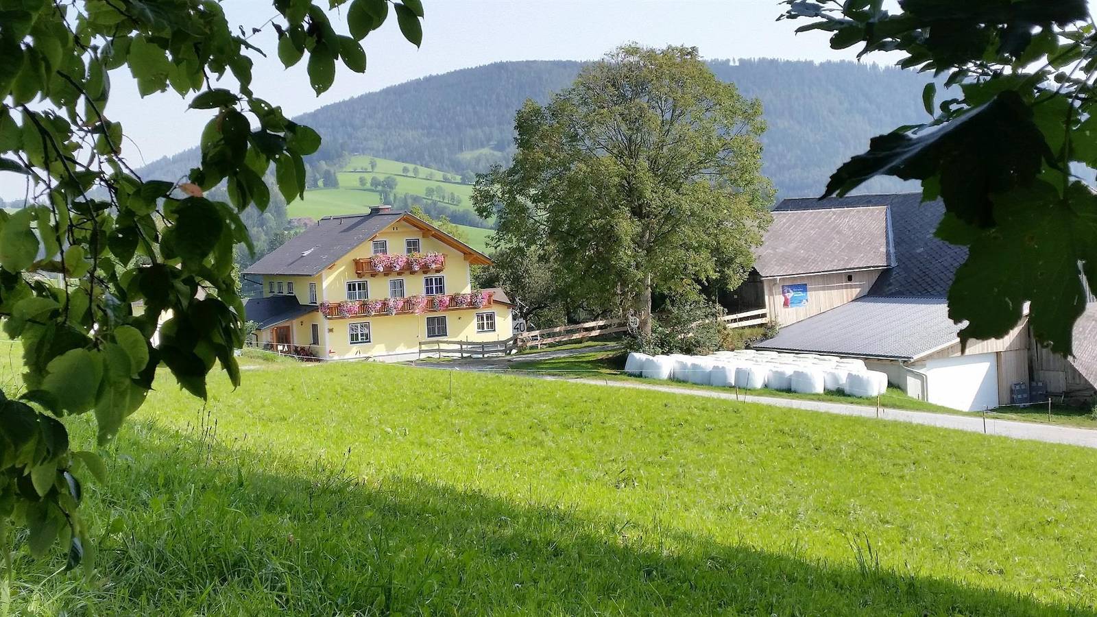 Entire holiday apartment, Blaue Wohnung in Steirerland