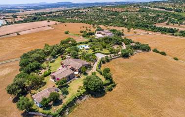 Finca in Manacor, Mallorca Osten für 7 