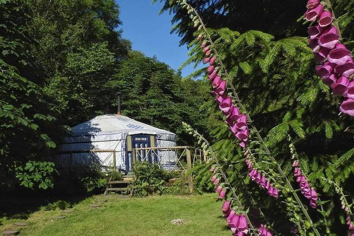 Glamping for 5 people, with Garden in Dartmoor