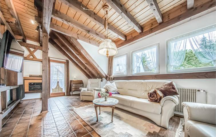 Gîte pour 6 personnes, avec terrasse, animaux acceptés dans Schonach (Ville) - 4