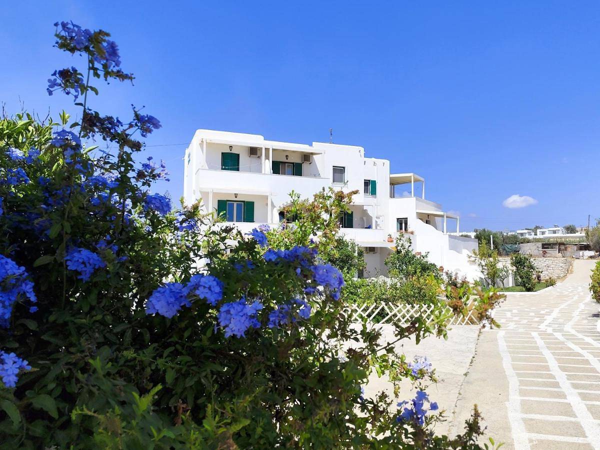 Studios Farma in Agia Anna, Naxos