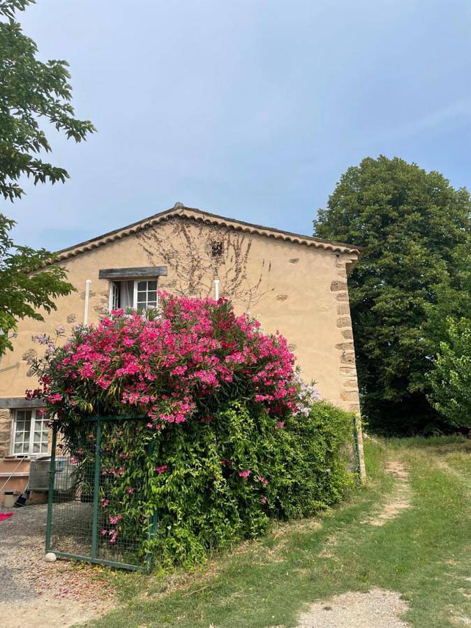 Location de vacances pour 8 personnes, avec jardin ainsi que terrasse et piscine, animaux acceptés à Les Arcs (Var) - 2