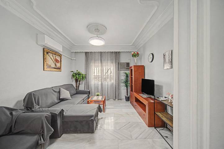 Casa Alicia — Spacious Apartment with Free Parking in Seville