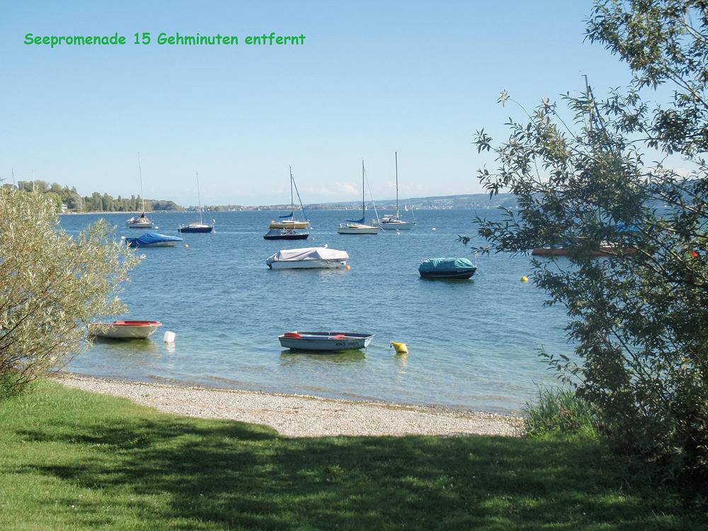 Ganze Ferienwohnung, Ferienwohnungen Familie Bill - 1-Zimmer-Fewo, Dg, 40 m² in Radolfzell, Radolfzell am Bodensee