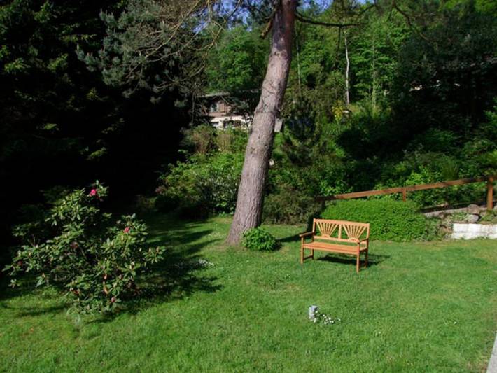 Ferienwohnung für 8 Personen, mit Garten und Sauna sowie Ausblick in Wieda - 4