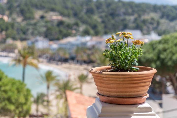 Ferienhaus für 4 Personen, mit Garten in Sóller - 4