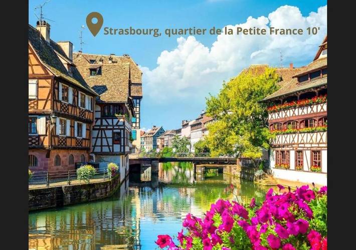 Location de vacances pour 6 personnes, avec terrasse, animaux acceptés à Ittenheim - 3
