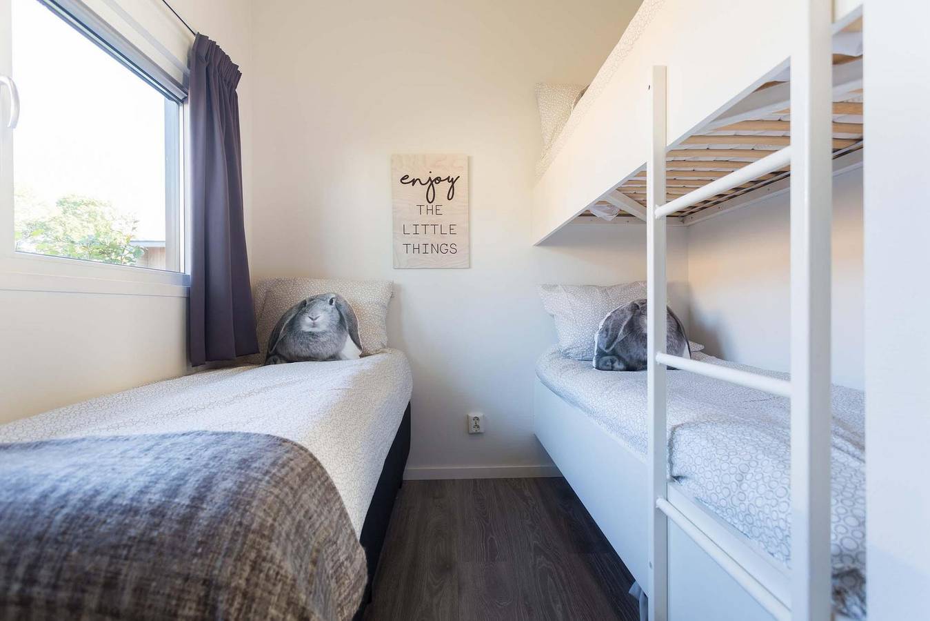 Landgoed de Scheleberg — Module 5 people in Hoge Veluwe