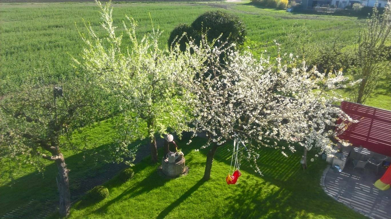Ferienwohnung "Auszeit" - Ferienwohnung "Auszeit" mit Terrasse in ruhiger Lage in Hofheim in Unterfranken, Landkreis Haßberge