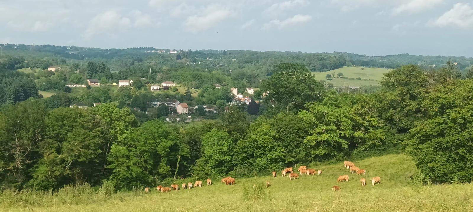 Le Clédier de Cherveix in Solignac (homonymie), Région de Limoges