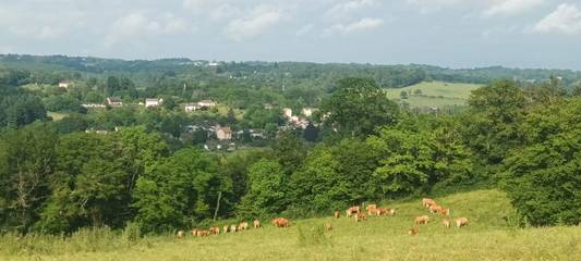 Holiday Rental for 2 People in Solignac, Limoges region, Photo 1