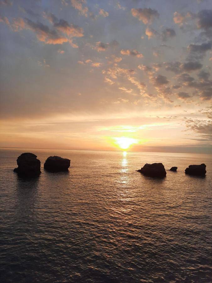 Gîte pour 4 personnes, avec vue et jardin, animaux acceptés dans Plage du Boisvinet - 4