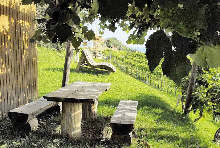 Ferienwohnung für 4 Personen, mit Garten und Terrasse in der Oststeiermark - 2
