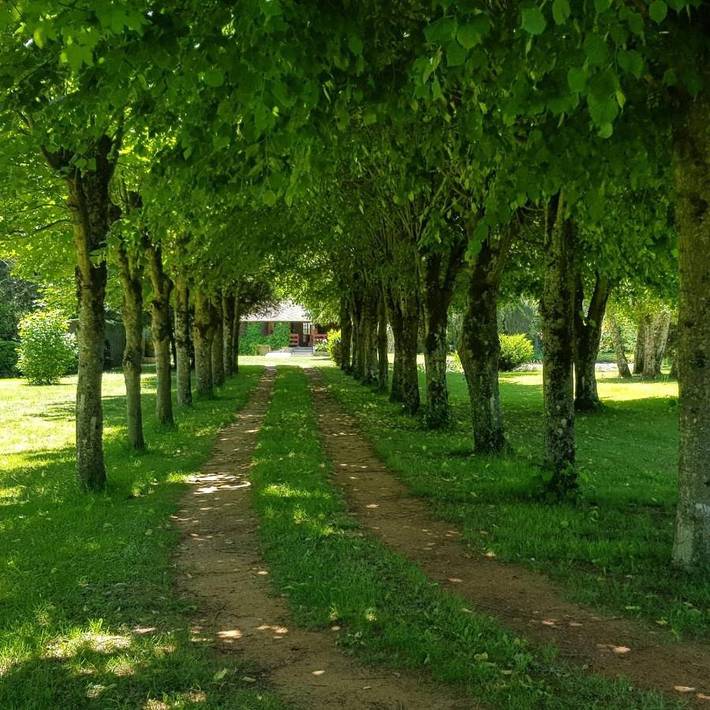 Gîte pour 3 personnes, avec Jardin à Courcemont