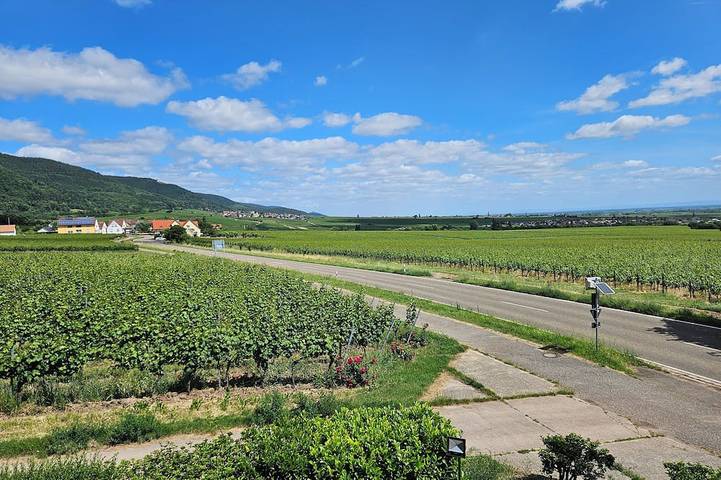 Ferienhaus für 6 Personen, mit Balkon und Garten in Edesheim