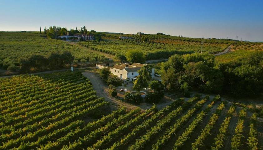 Casa rural para 16 personas, con Terraza además de Jardín y Piscina en Campiña Sur Cordobesa