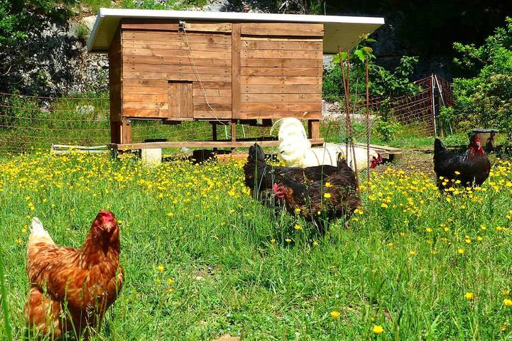 Gîte pour 4 personnes à Banon - 4