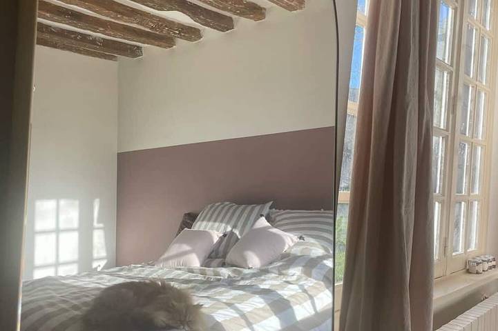 Location de vacances pour 10 personnes, animaux acceptés à Angiens - 3