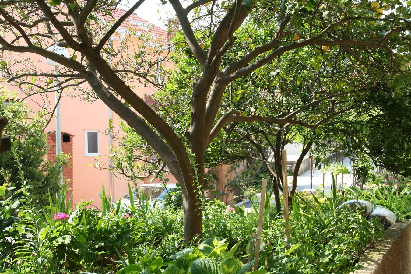 Entire apartment, Apartments by the sea Podgora, Makarska - 518 in Podgora, Makarska Riviera