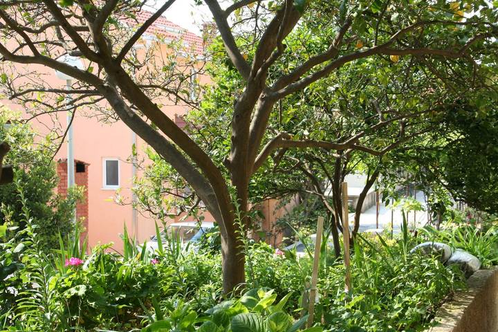 Holiday apartment for 3 people, with balcony/terrace - 1