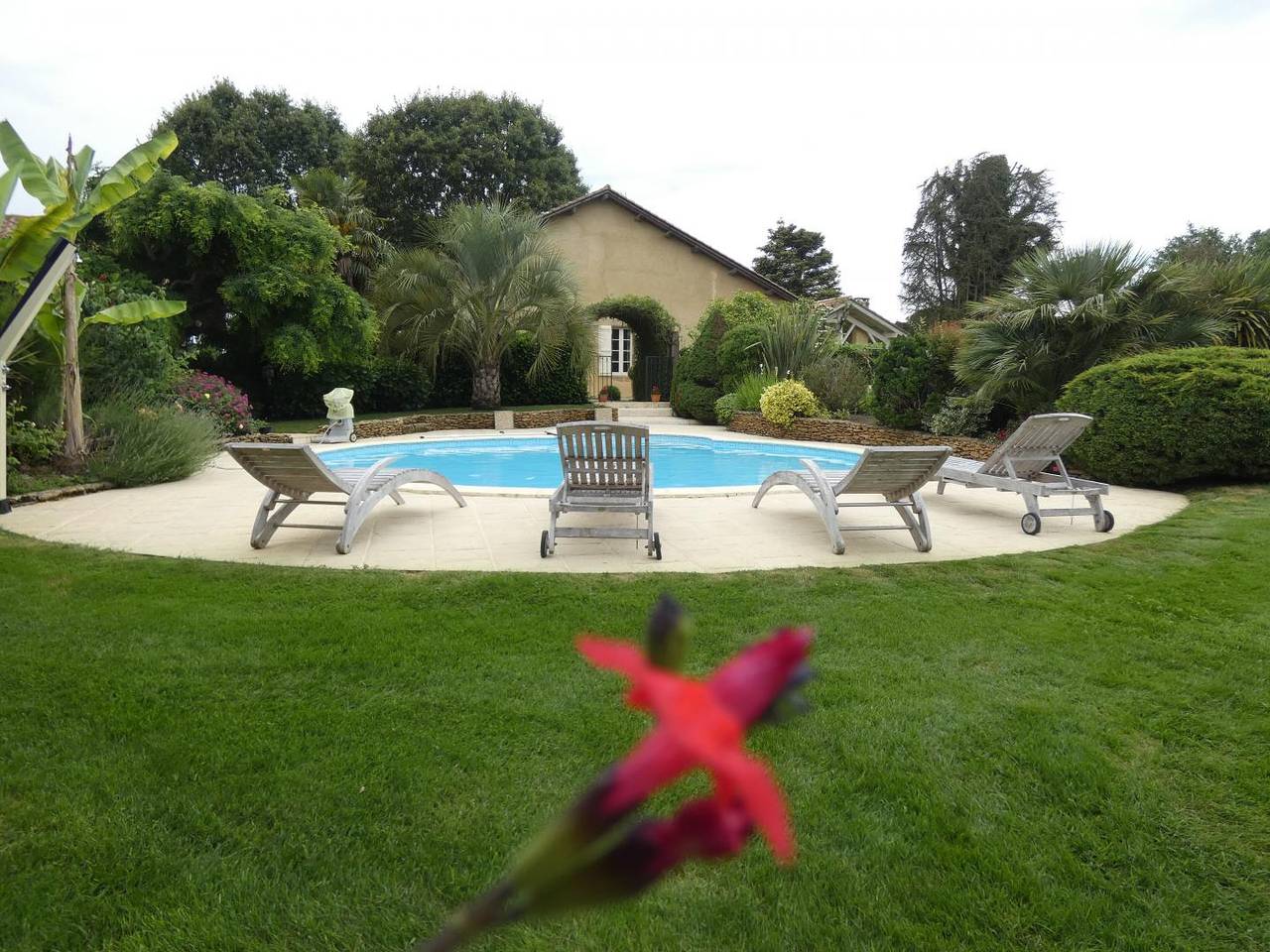 Gascon du Saby in Hontanx, Landes