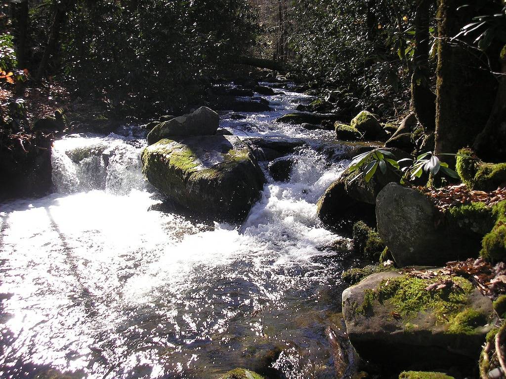 Smoky Mountains 20 min nach Gatlinburg am Creek, grenzt an Park, unter 100 $ Haustiere Ok! in Cosby (TN), Cocke County