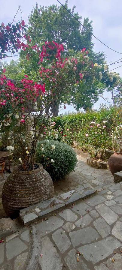Appartement entier, Vintage House by the Sea in Chorefto, Zagora