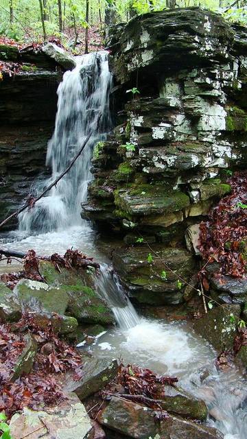 Lodge for 12 Guests in Ozark Mountains, Arkansas, Picture 1