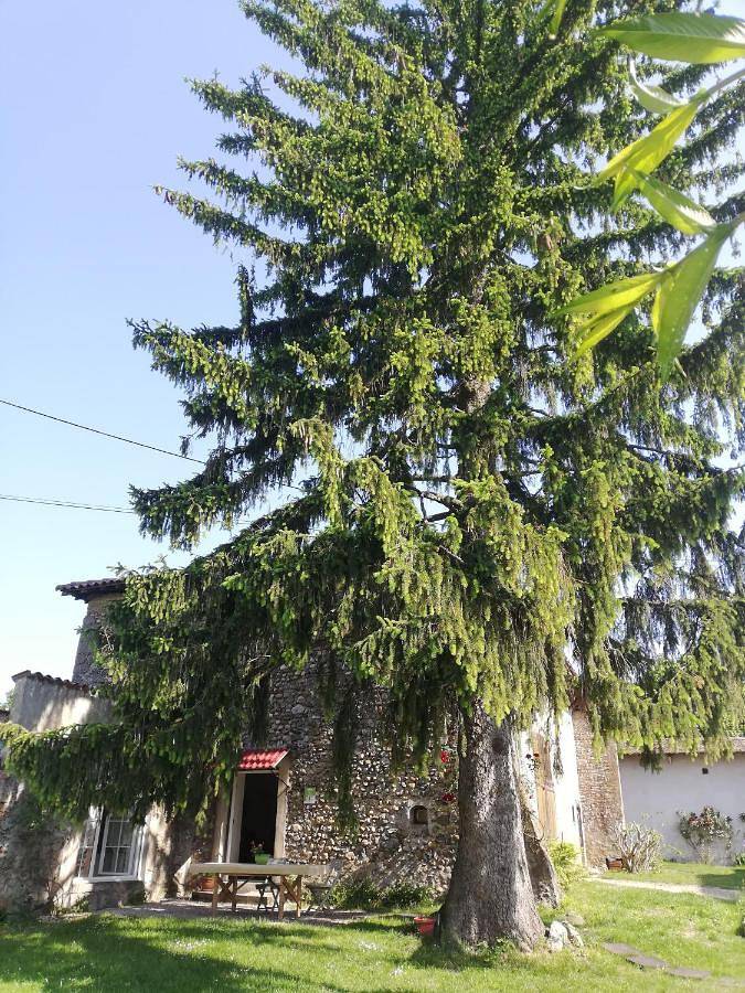 Gîte site médiéval 6 personnes (Gîte De France 2*) in Biol, Région de La Tour-du-Pin