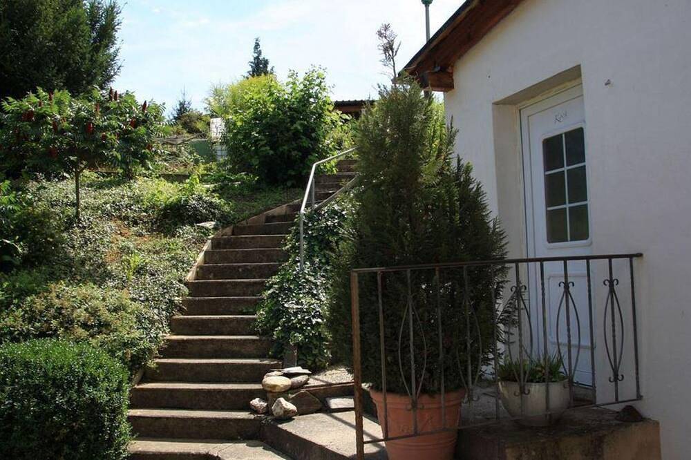 Ganze Wohnung, Ferienwohnung Hofberg - Moselurlaub im Ferienweinhaus Koch in Neumagen-Dhron, Bernkastel-Kues & Umgebung