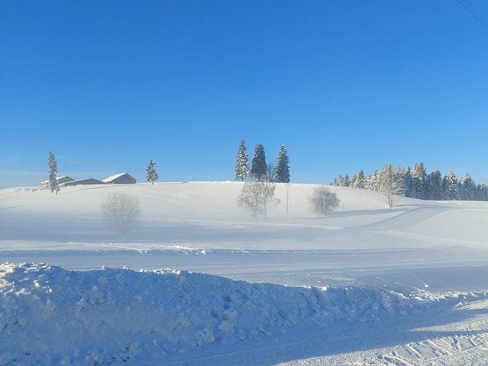Ganze Ferienwohnung, Ferienwohnung Panorama - neue Ferienwohnung in Bregenzerwald (Vorarlberg), Sulzberg (Österreich)