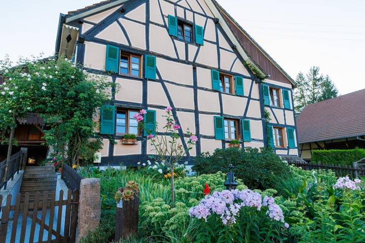 Location de vacances pour 6 personnes, avec jardin à Ueberstrass - 3