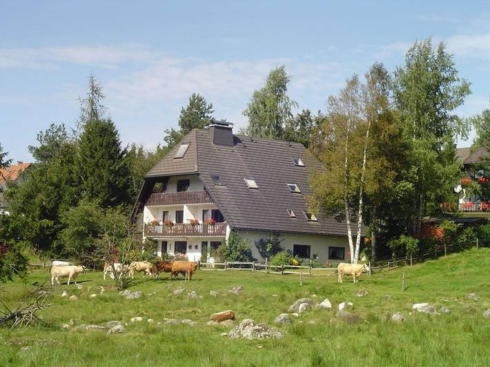 Ferienhaus für 2 Personen, mit Garten und Balkon in Schluchsee - 3