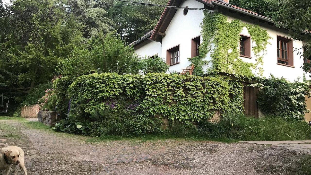 Ganze Ferienwohnung, Ferienwohnung für 2 Personen (60 m²) in Merzig in Merzig, Saar-Nahe-Bergland