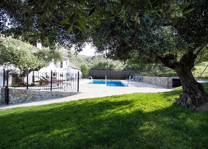 Casa rural para 10 personas, con vistas además de jardín y piscina en Grazalema - 4