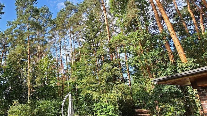 Ferienhaus für 4 Personen, mit Terrasse, mit Haustier in Elster & Umgebung - 3