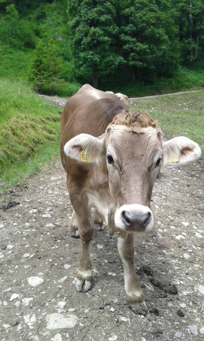 Ferienwohnung für 2 Personen, mit Balkon in Bayern - 3