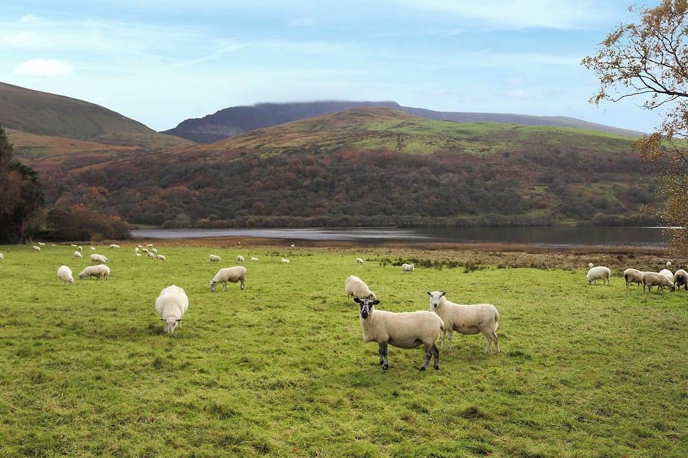 3 Schlafzimmer Unterkunft in Nantlle, near Caernarfon in Snowdonia